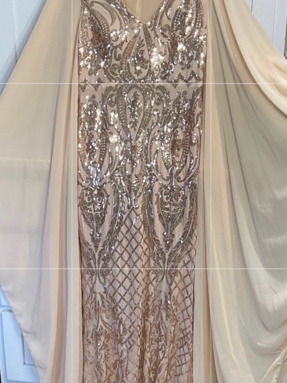Champagne Sequin Stunning Sheer Long Sleeve Dress Like New Final Sale
